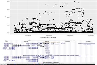 Association of the Lactase Persistence Haplotype Block With Disease Risk in Populations of European Descent